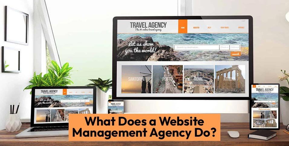 Website Management Agency