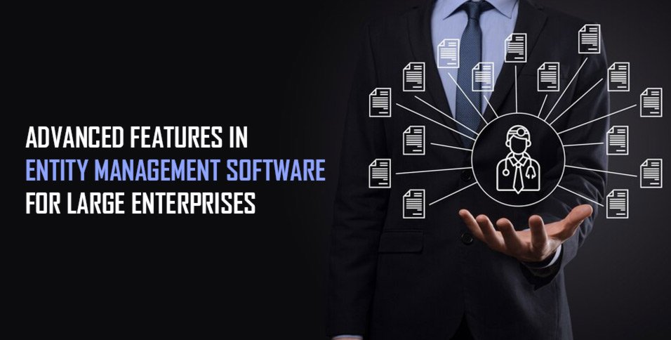 Entity Management Software