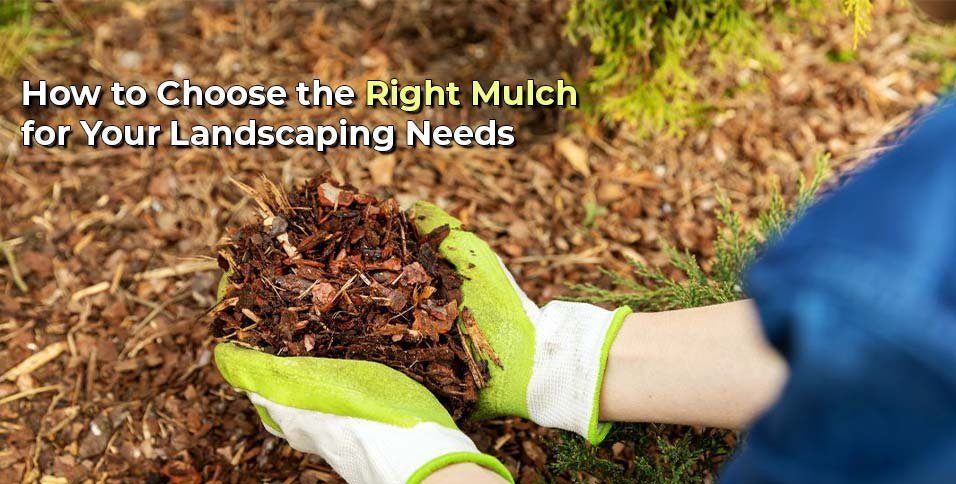 Choose the Right Mulch