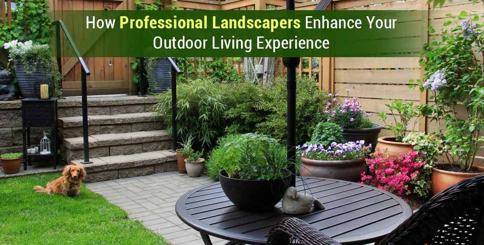 Professional Landscapers