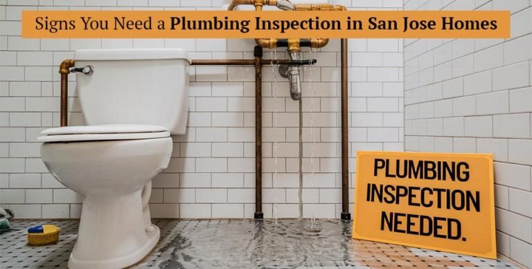 Plumbing Inspection