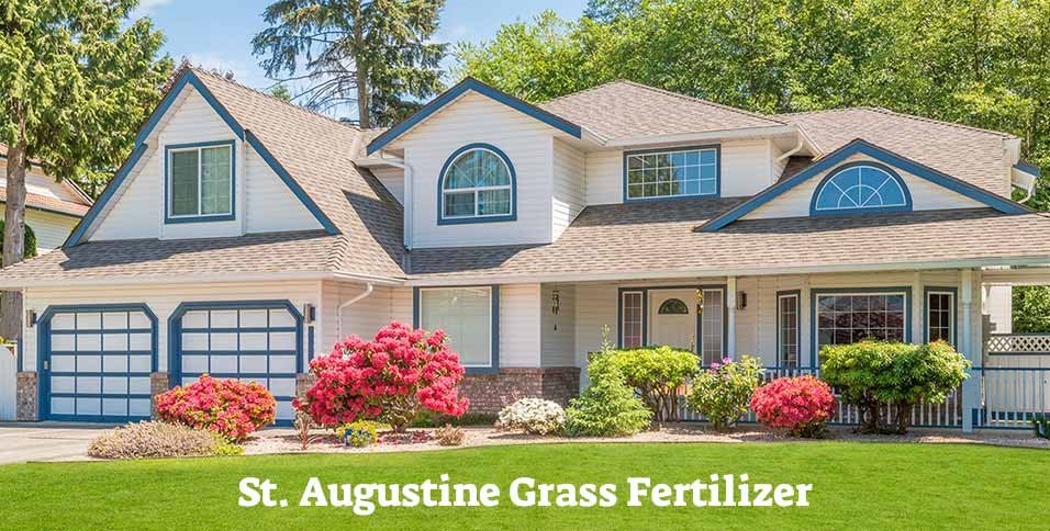 Augustine Grass Fertilizer