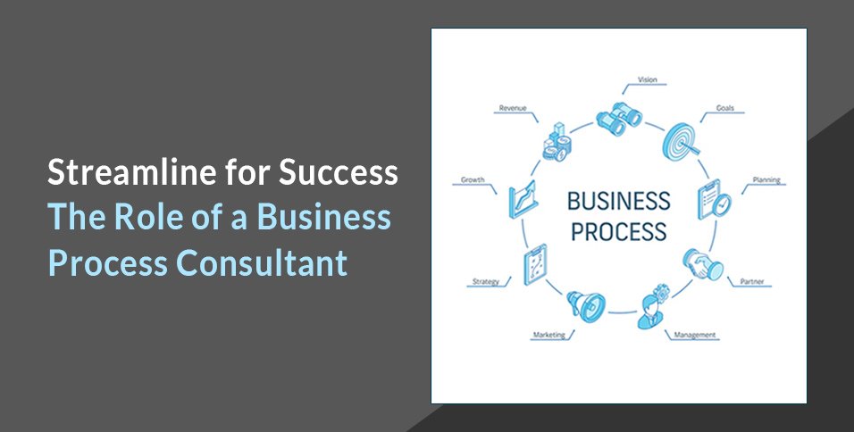 Business Process Consultant