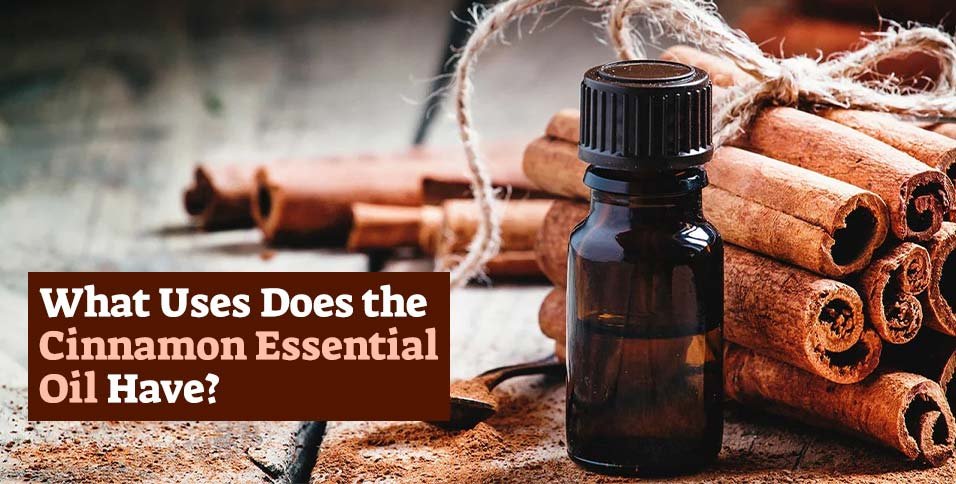 Cinnamon Essential Oil