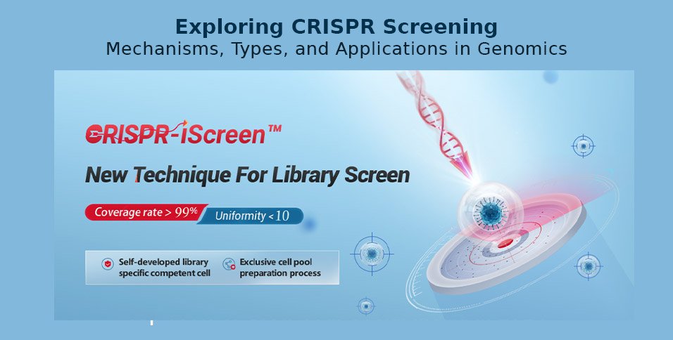 CRISPR Screening