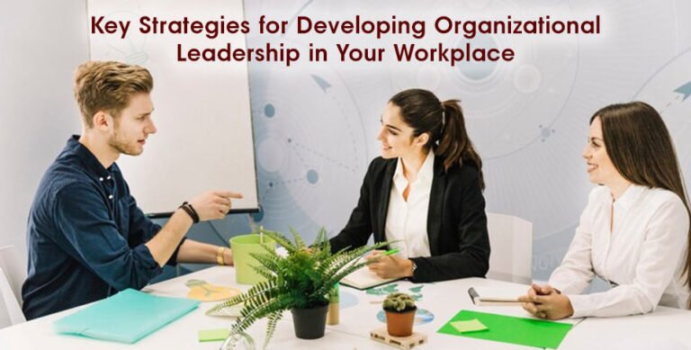 Strategies for Developing Organizational Leadership