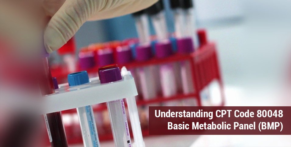 Basic Metabolic Panel