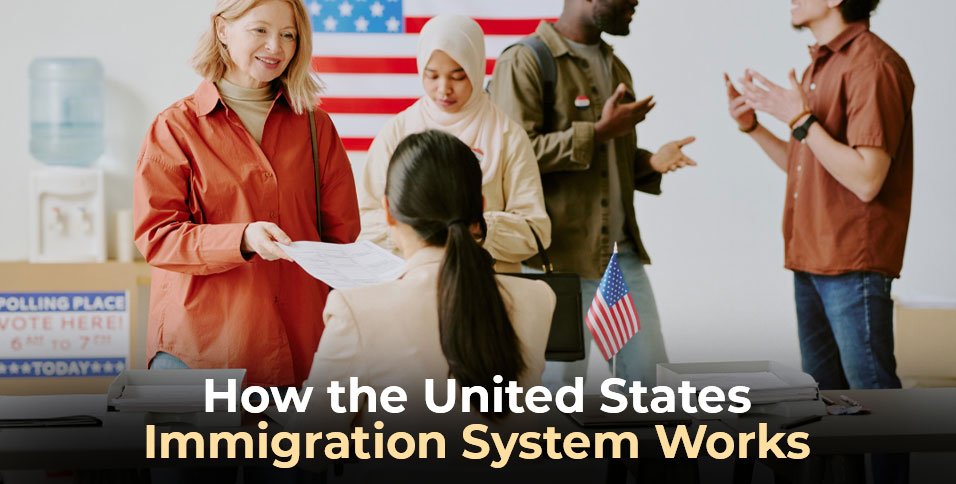 Immigration System Works